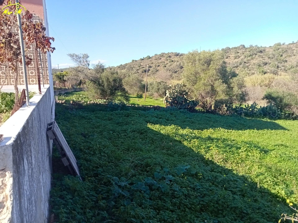 Terreno Agricola ou Rústico para Venda em Azinhal Foto 4