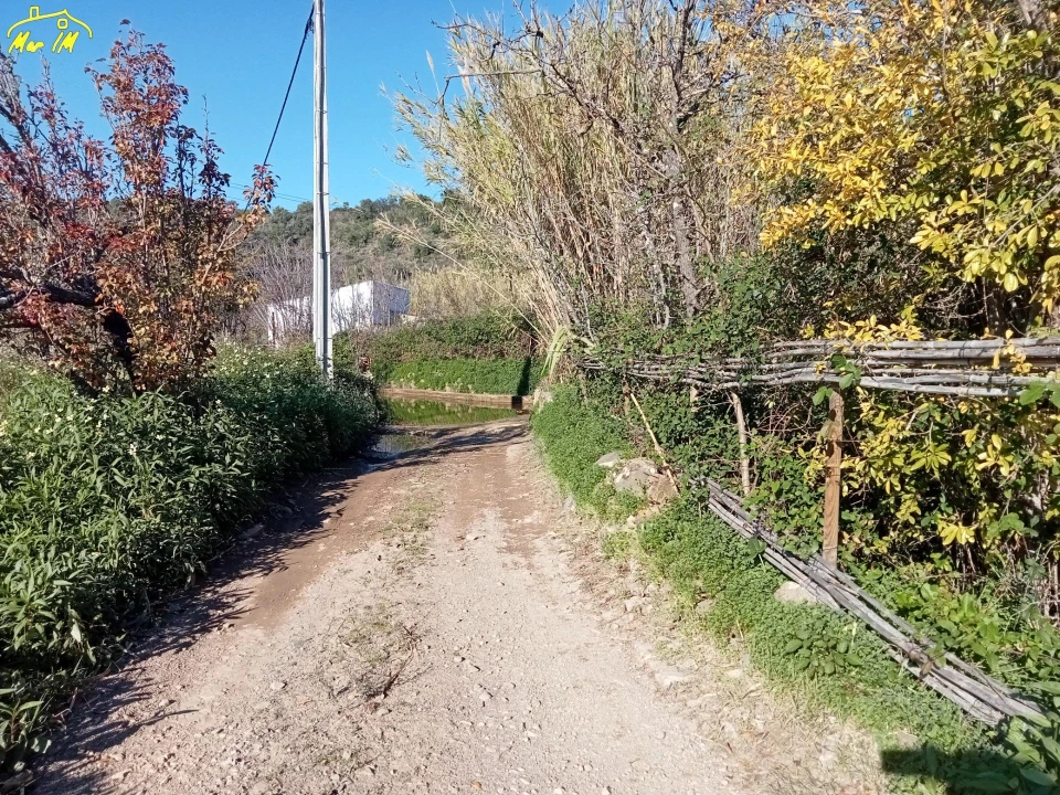 Terreno para Venda em Azinhal Foto 16
