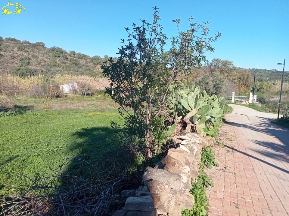 Terreno para Venda em Azinhal Foto 3