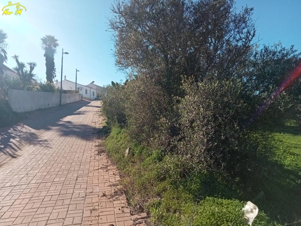 Terreno para Venda em Azinhal Foto 9