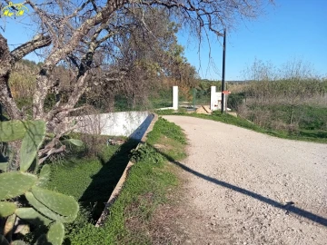 Terreno para Venda em Azinhal