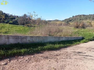 Terreno para Venda em Azinhal
