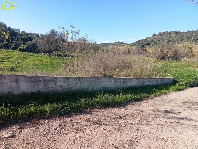 Terreno Agricola ou Rústico para Venda em Azinhal Foto 14