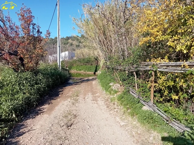 Terreno Agricola ou Rústico para Venda em Azinhal Foto 16