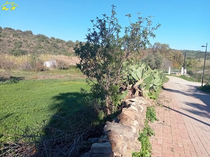 Terreno Agricola ou Rústico para Venda em Azinhal Foto 2