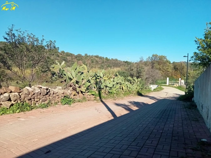 Terreno Agricola ou Rústico para Venda em Azinhal Foto 6
