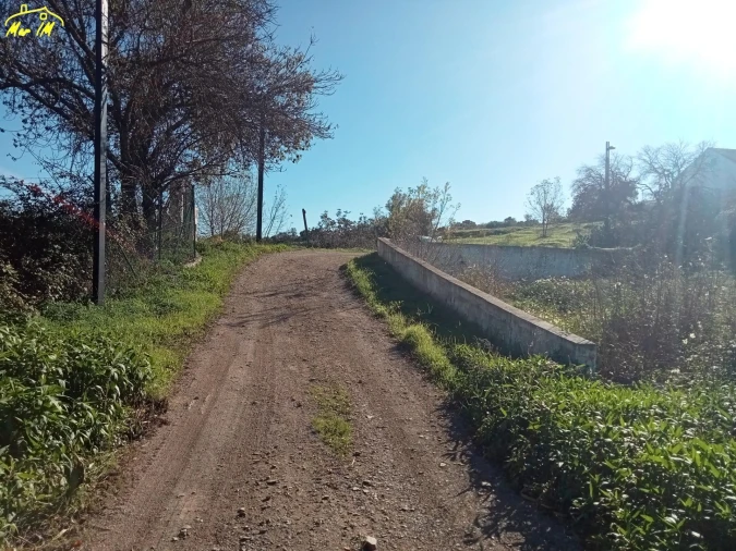 Terreno para Venda em Azinhal Foto 17
