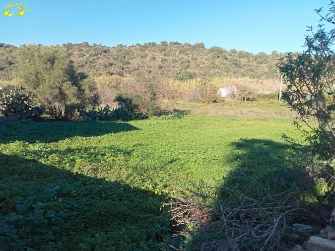 Terreno para Venda em Azinhal Foto 8
