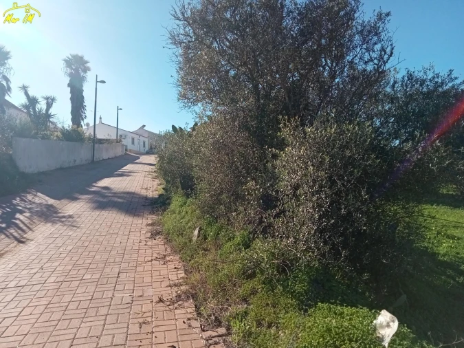 Terreno para Venda em Azinhal Foto 9