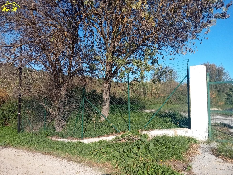 Terreno Agricola ou Rústico para Venda em Azinhal Foto 11