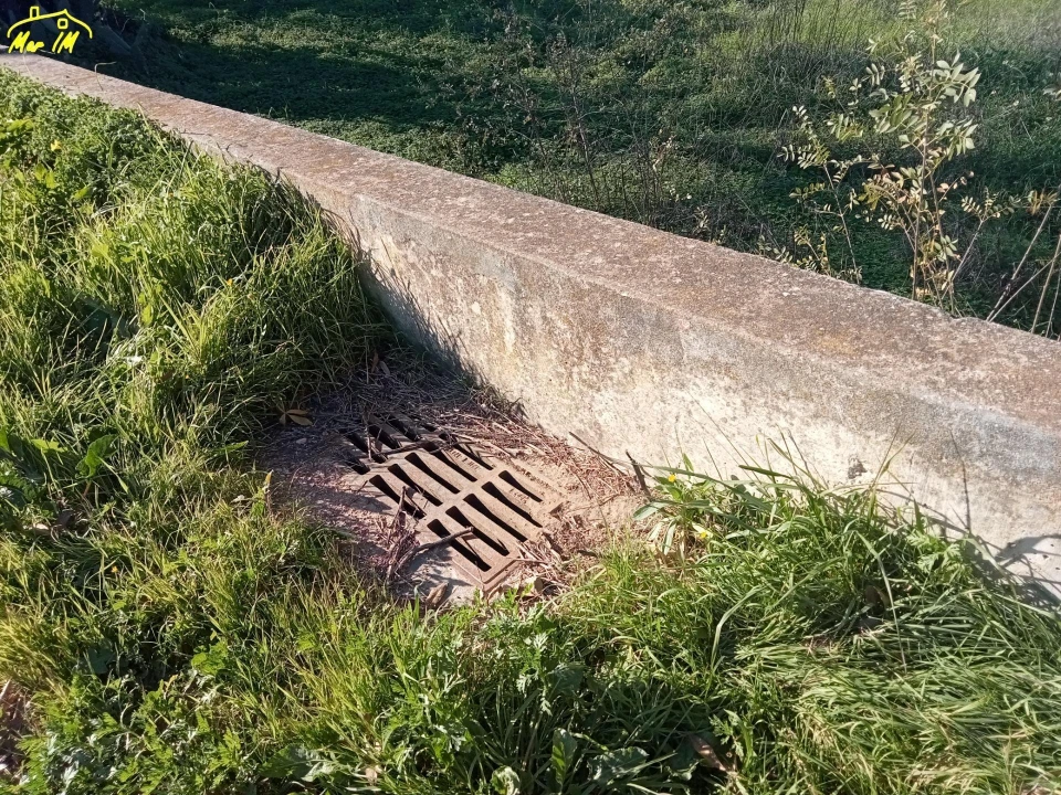 Terreno Agricola ou Rústico para Venda em Azinhal Foto 12
