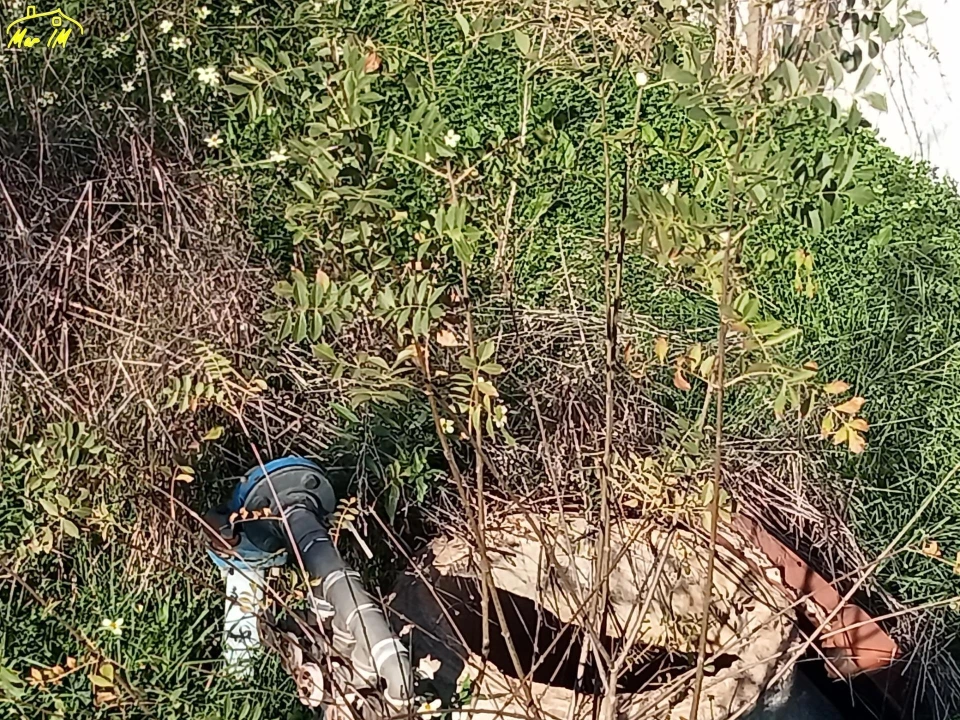Terreno Agricola ou Rústico para Venda em Azinhal Foto 13
