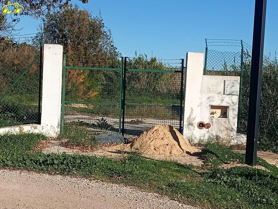 Terreno Agricola ou Rústico para Venda em Azinhal Foto 15
