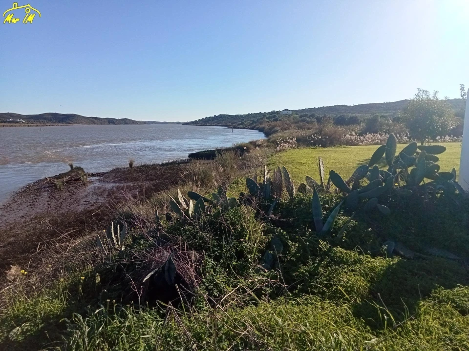 Terreno Agricola ou Rústico para Venda em Azinhal Foto 19