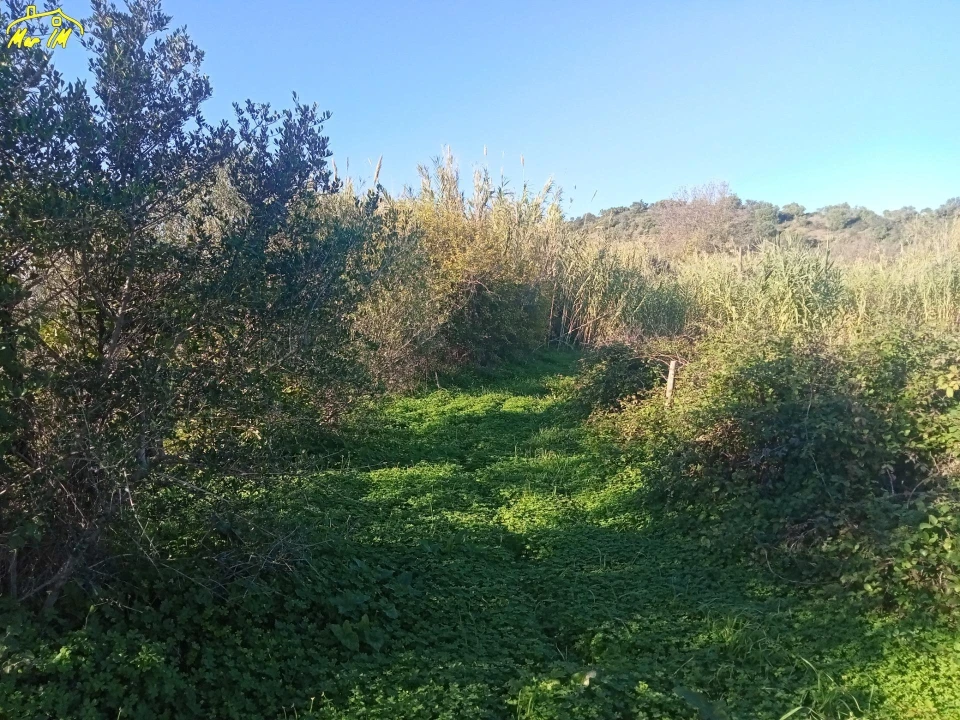 Terreno Agricola ou Rústico para Venda em Azinhal Foto 22