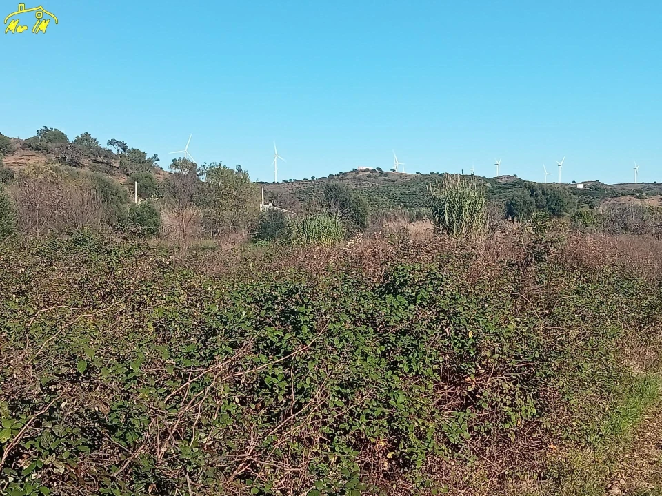 Terreno Agricola ou Rústico para Venda em Azinhal Foto 26