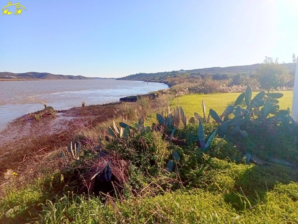 Terreno Agricola ou Rústico para Venda em Azinhal Foto 3