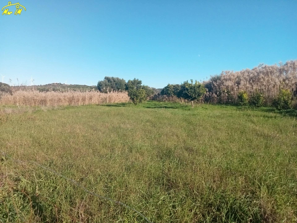 Terreno Agricola ou Rústico para Venda em Azinhal Foto 31