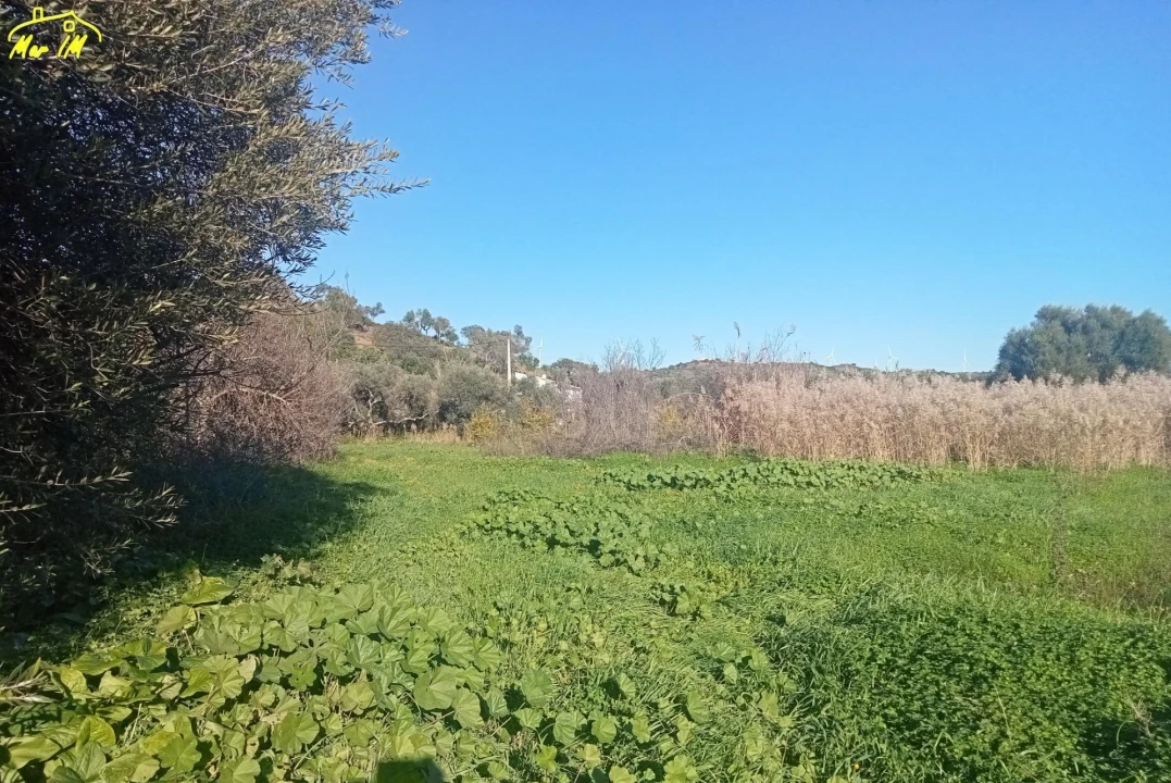 Terreno Agricola ou Rústico para Venda em Azinhal Foto 35