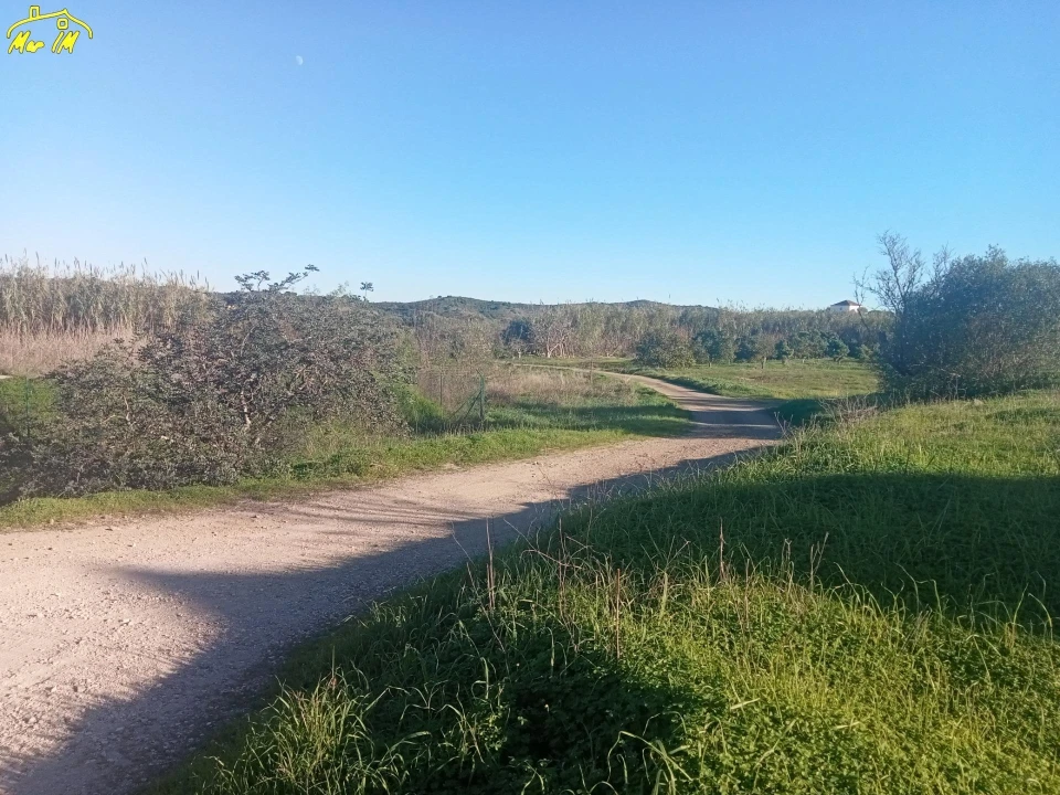 Terreno Agricola ou Rústico para Venda em Azinhal Foto 39