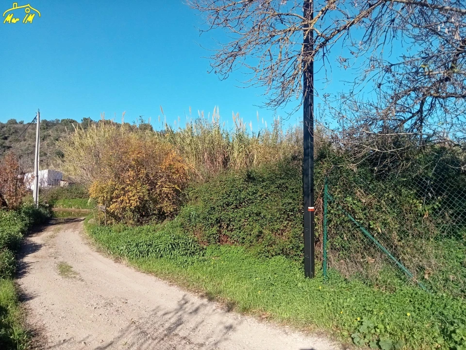 Terreno Agricola ou Rústico para Venda em Azinhal Foto 4