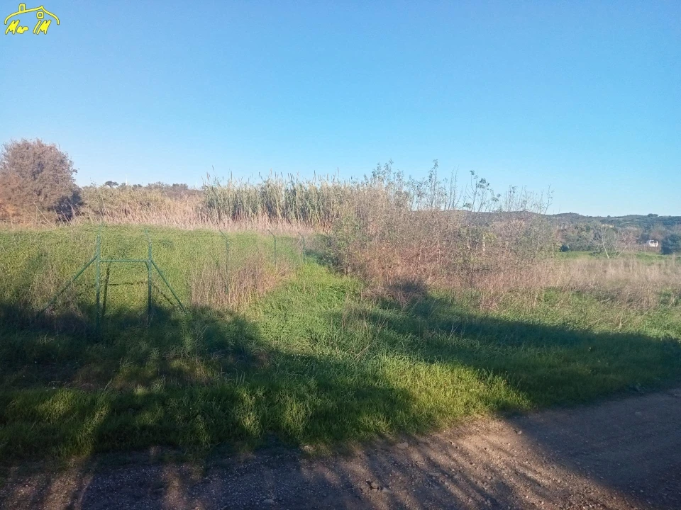 Terreno Agricola ou Rústico para Venda em Azinhal Foto 40