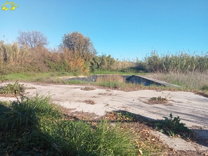 Terreno Agricola ou Rústico para Venda em Azinhal Foto 10