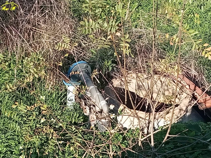 Terreno Agricola ou Rústico para Venda em Azinhal Foto 14