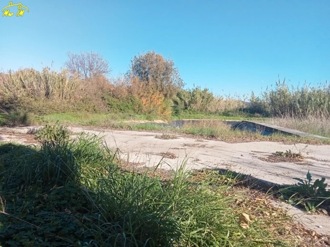 Terreno Agricola ou Rústico para Venda em Azinhal Foto 18