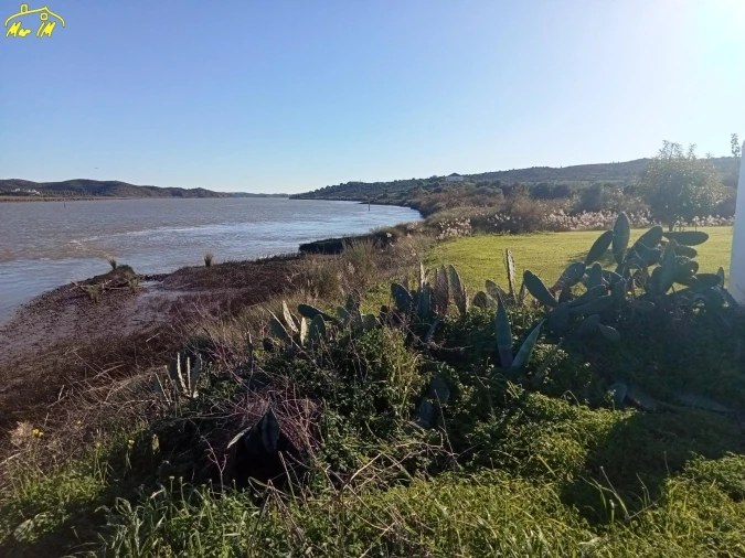 Terreno Agricola ou Rústico para Venda em Azinhal Foto 19