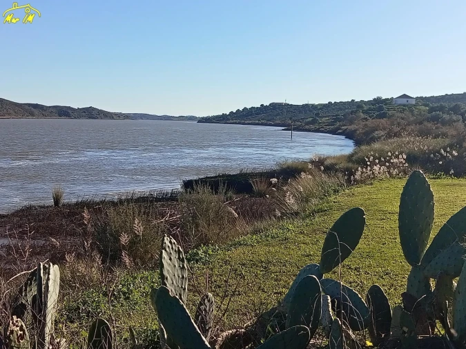 Terreno Agricola ou Rústico para Venda em Azinhal Foto 20