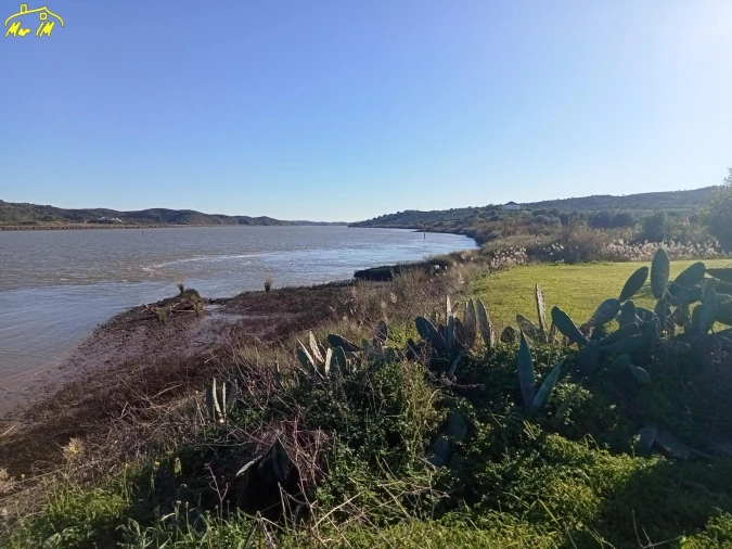 Terreno Agricola ou Rústico para Venda em Azinhal Foto 24