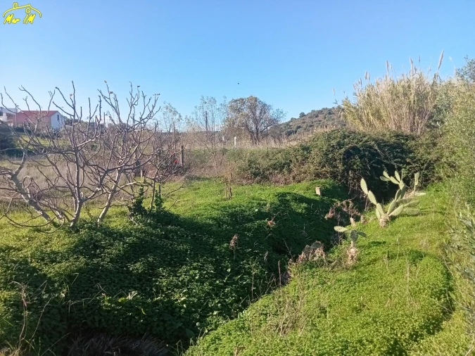 Terreno Agricola ou Rústico para Venda em Azinhal Foto 25