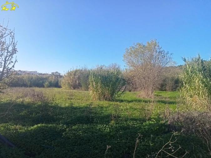 Terreno Agricola ou Rústico para Venda em Azinhal Foto 29