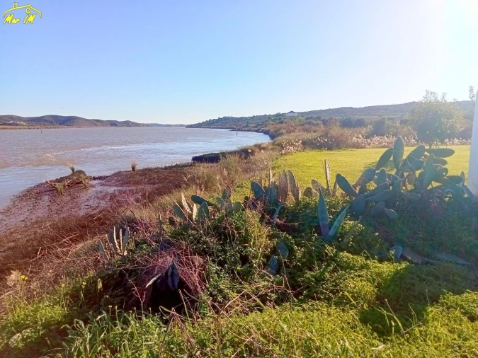 Terreno Agricola ou Rústico para Venda em Azinhal Foto 3
