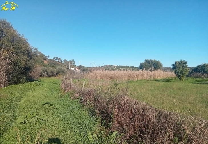 Terreno Agricola ou Rústico para Venda em Azinhal Foto 30