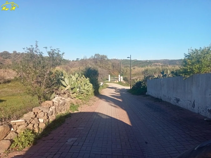 Terreno Agricola ou Rústico para Venda em Azinhal Foto 34