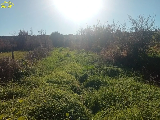 Terreno Agricola ou Rústico para Venda em Azinhal Foto 36