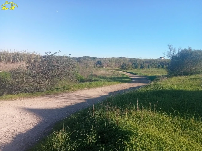 Terreno Agricola ou Rústico para Venda em Azinhal Foto 39