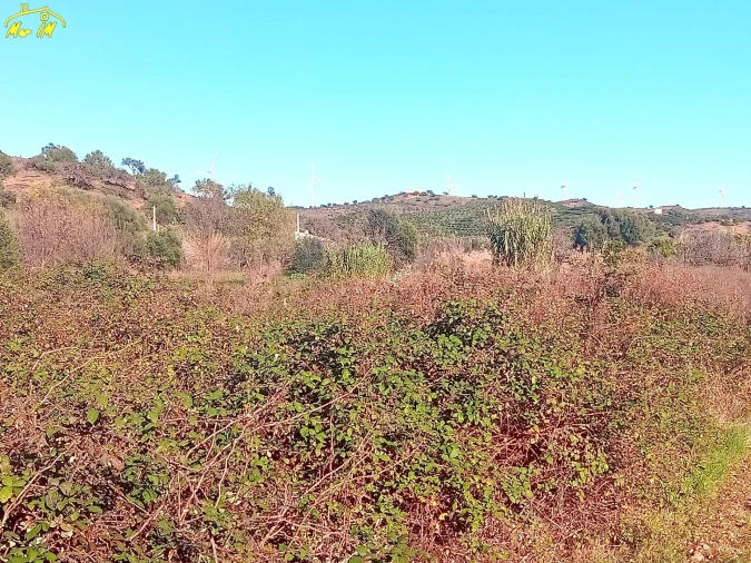 Terreno Agricola ou Rústico para Venda em Azinhal Foto 46