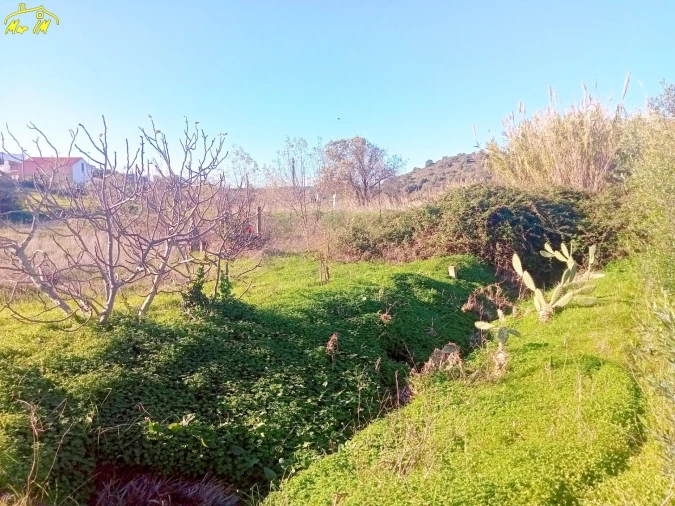 Terreno Agricola ou Rústico para Venda em Azinhal Foto 47