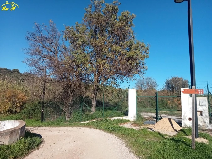 Terreno Agricola ou Rústico para Venda em Azinhal Foto 6