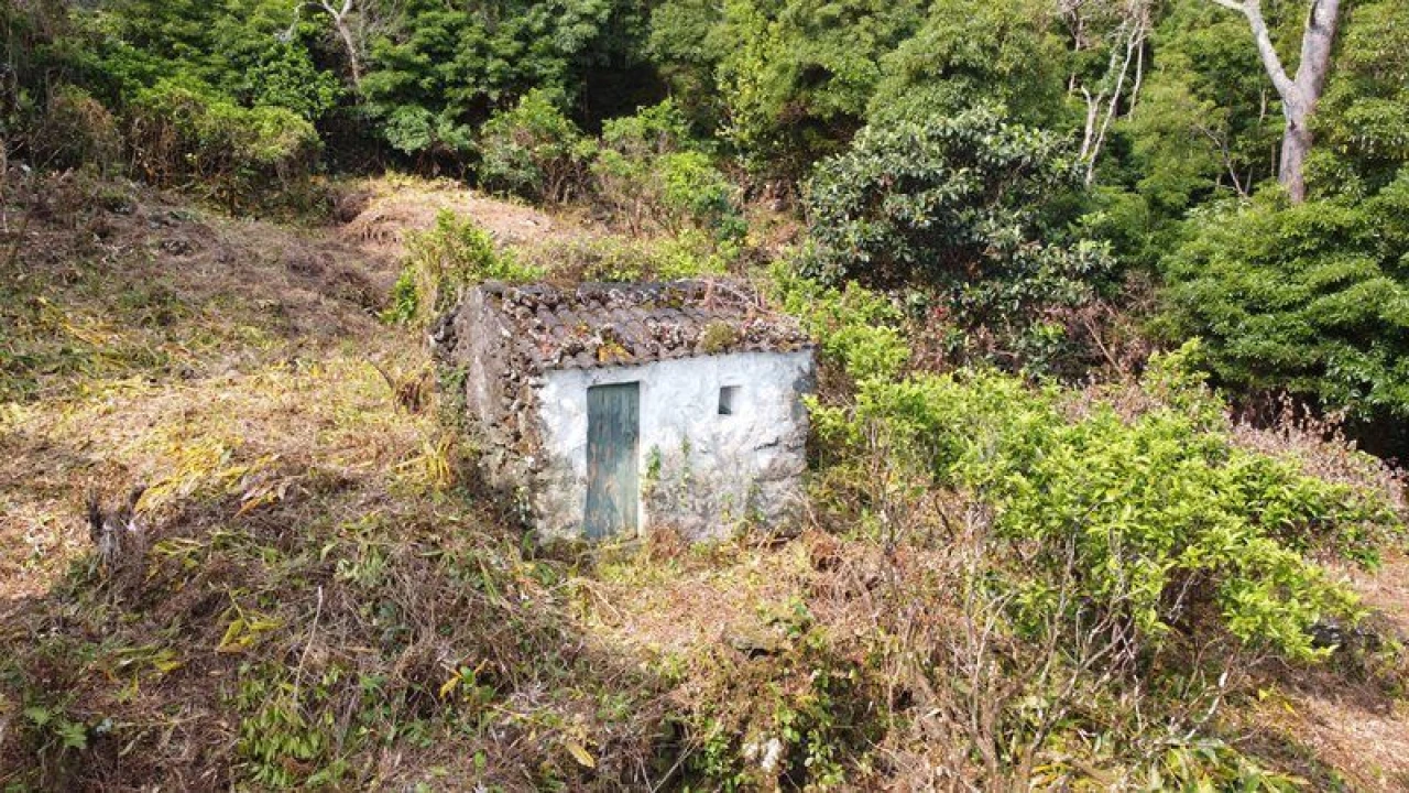 Terreno Agricola ou Rústico para Venda em São Roque do Pico Foto 13