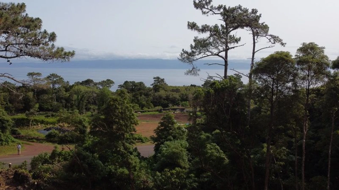 Terreno Agricola ou Rústico para Venda em São Roque do Pico Foto 17