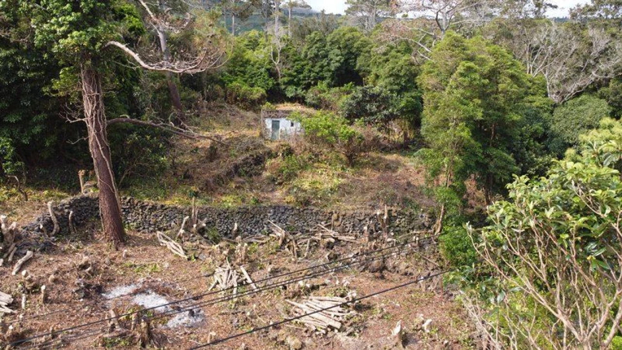 Terreno Agricola ou Rústico para Venda em São Roque do Pico Foto 18