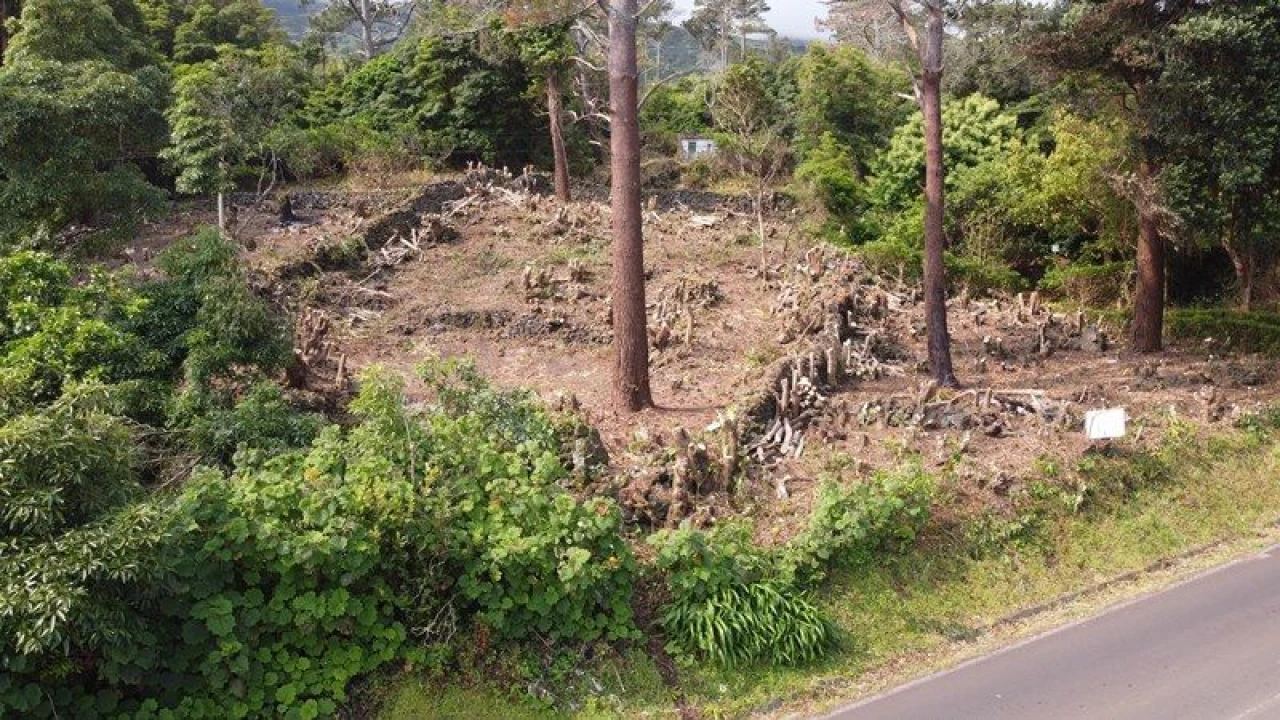 Terreno Agricola ou Rústico para Venda em São Roque do Pico Foto 20