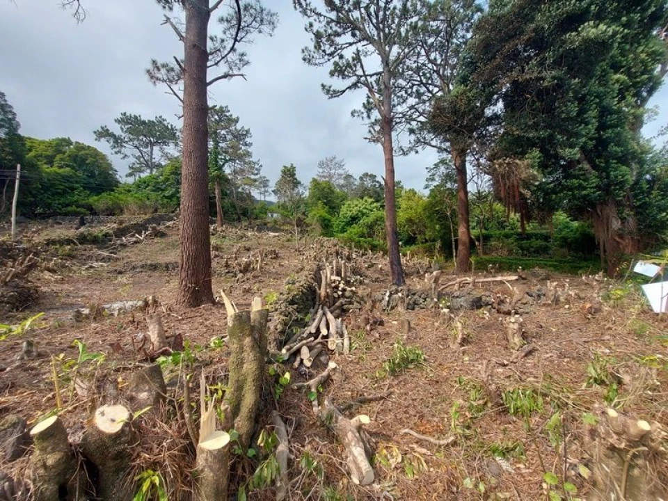 Terreno Agricola ou Rústico para Venda em São Roque do Pico Foto 3