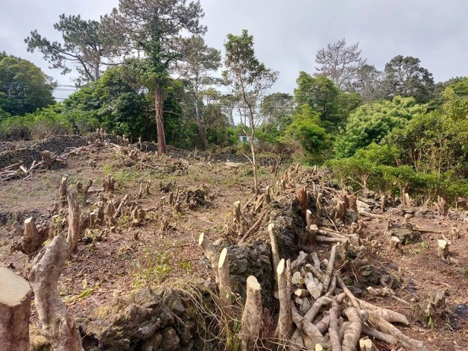 Terreno Agricola ou Rústico para Venda em São Roque do Pico Foto 6