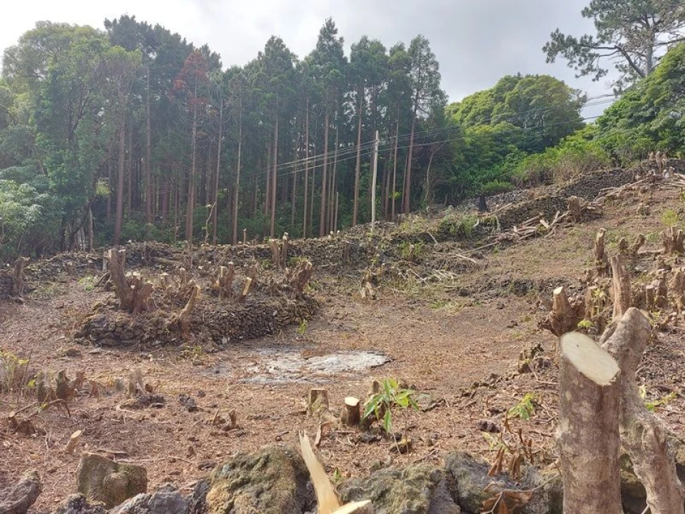 Terreno Agricola ou Rústico para Venda em São Roque do Pico Foto 7