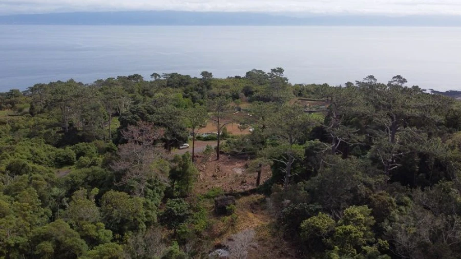 Terreno Agricola ou Rústico para Venda em São Roque do Pico Foto 10